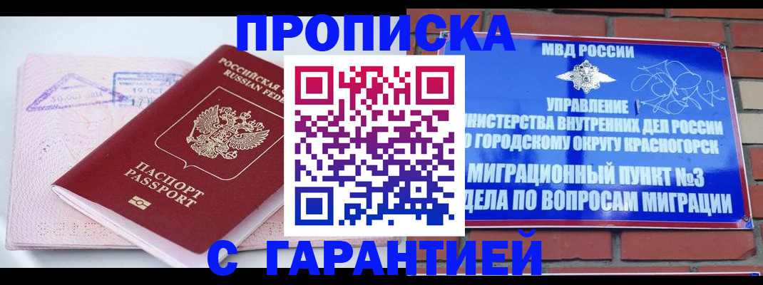 прописка законно в Камышлове